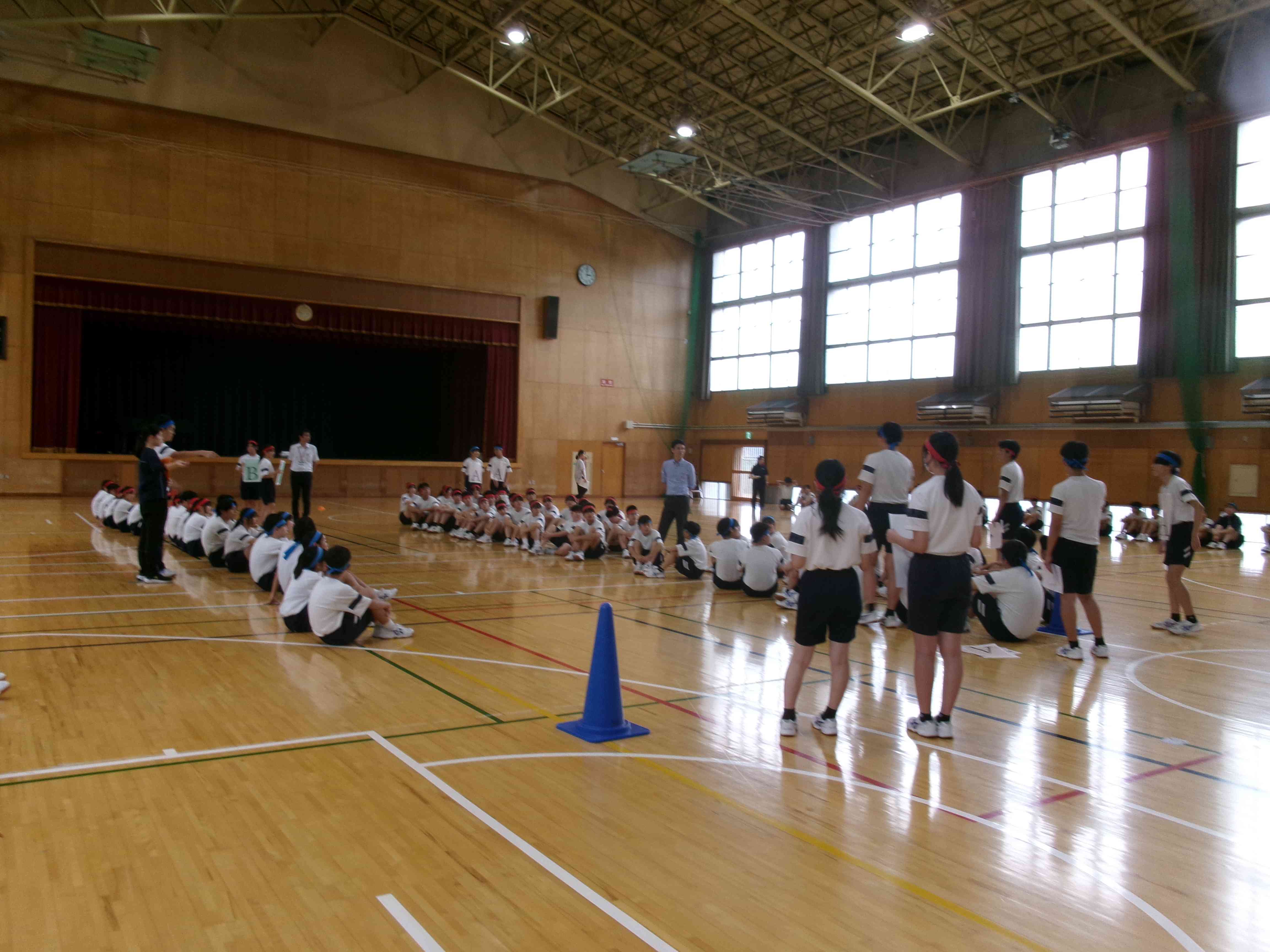 カラー種目